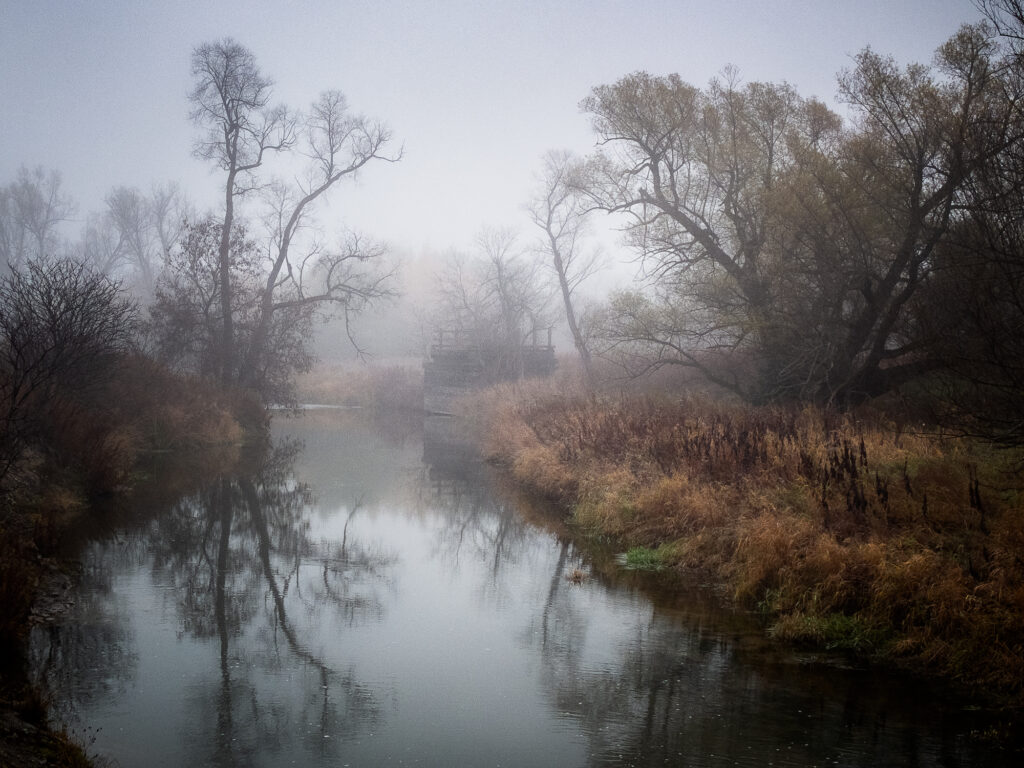 A dark moody late fall river scene